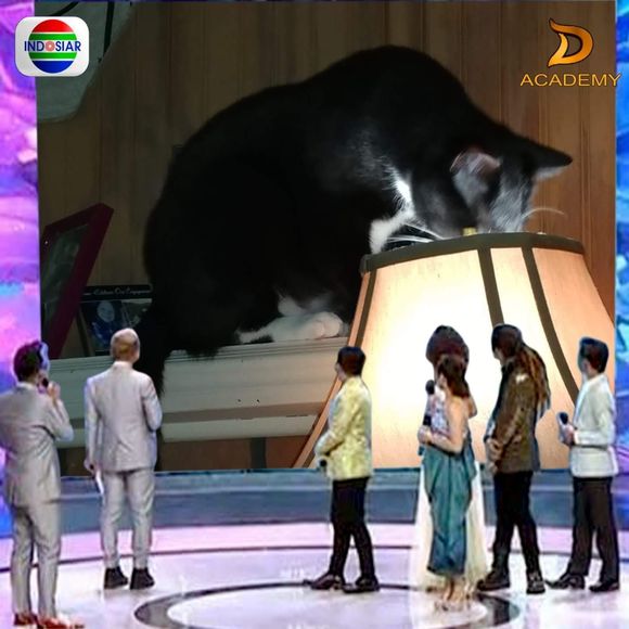 Meet your Posher, Dena - Picture 1 of 1